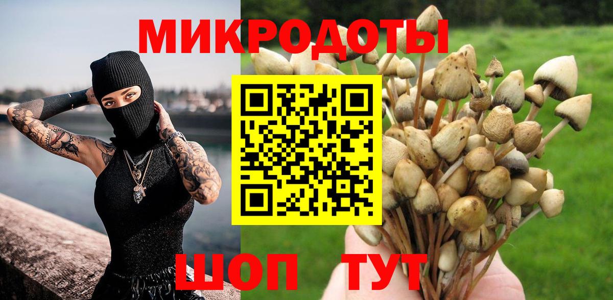 Галлюциногенные грибы Psilocybe  Вход с VPN  где купить наркоту  Галлюциногенные грибы мицелий  Старая Русса 